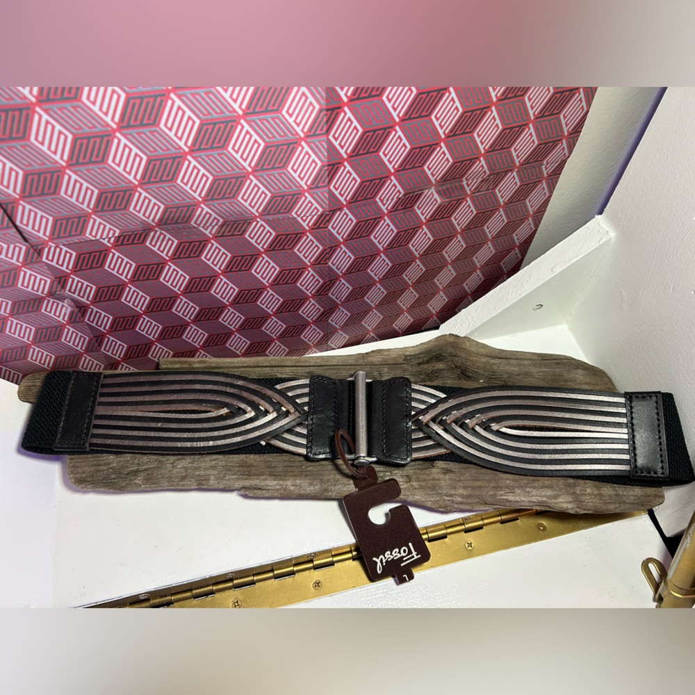 Fossil belt